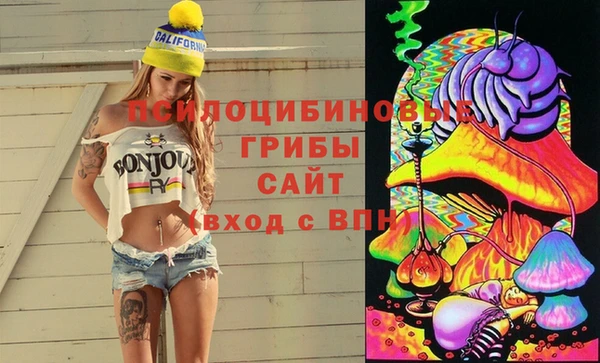 ECSTASY Богданович