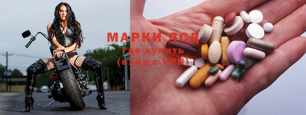 ECSTASY Богданович