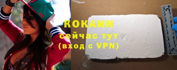 ECSTASY Богданович