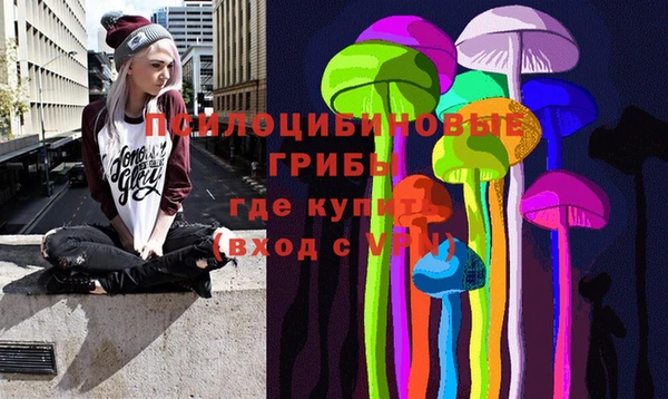 ECSTASY Богданович