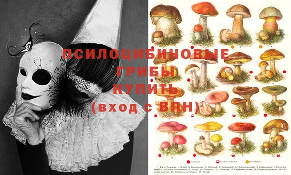 ECSTASY Богданович