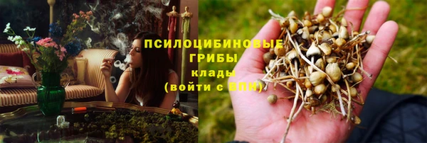 соль курить ск Богородицк