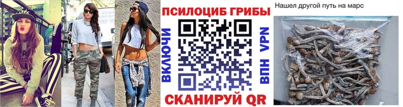 МЕГА ТОР  Козельск  Псилоцибиновые грибы Magic Shrooms 